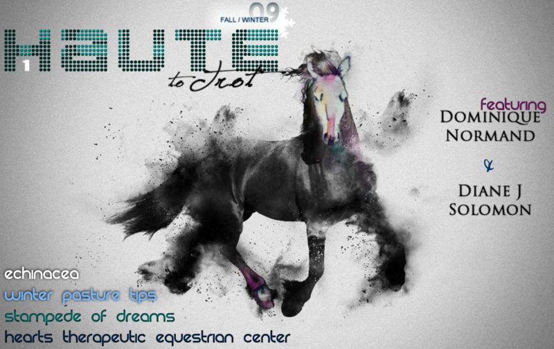Haute To Trot Magazine cover design by Erica Franz.