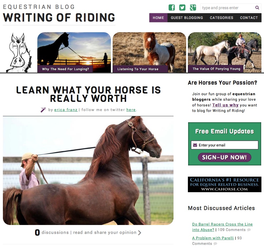 Writing of Riding homepage design on WordPress by Erica Franz.